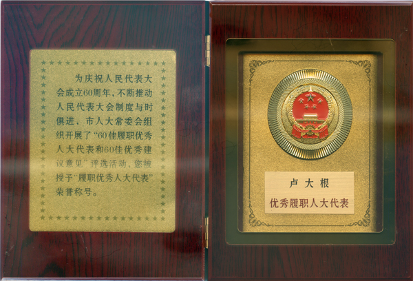 浙江新東陽建設(shè)集團有限公司